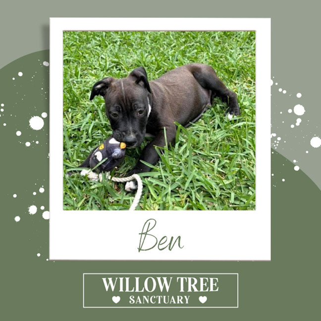 Photo of Ben
