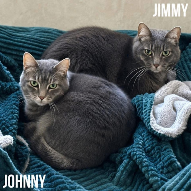 Photo of 11815 & 11848  Jimmy & Johnny