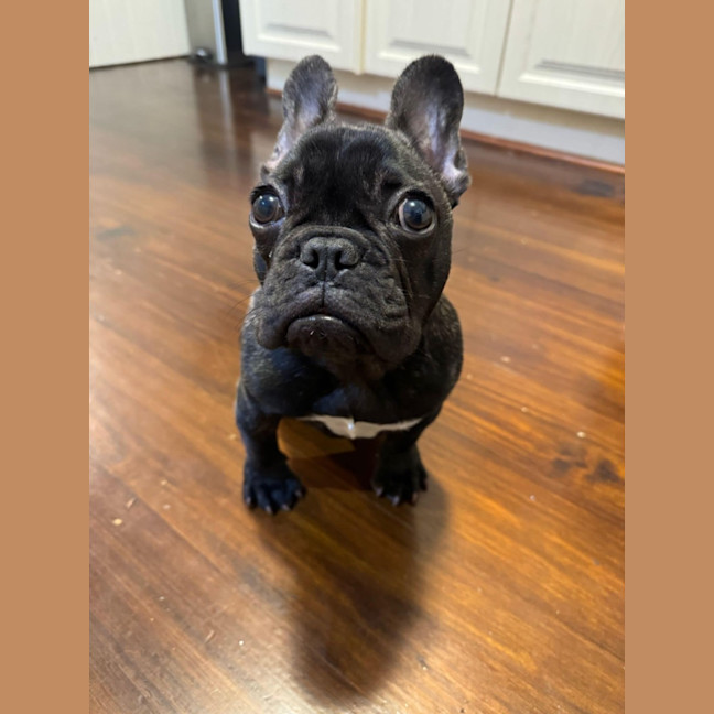 Photo of Aria