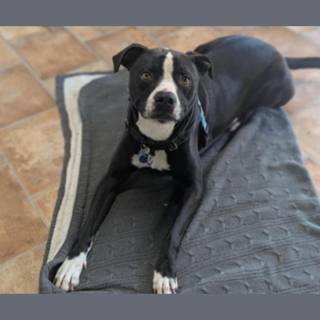 Photo of Charlie