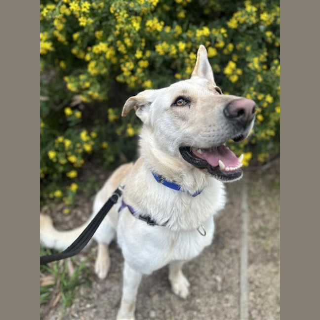 Photo of Duke