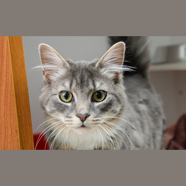 Photo of Hiro
