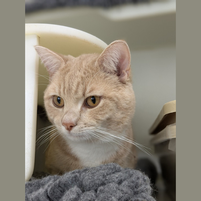 Photo of 🥞 Rupert 5644 🥞