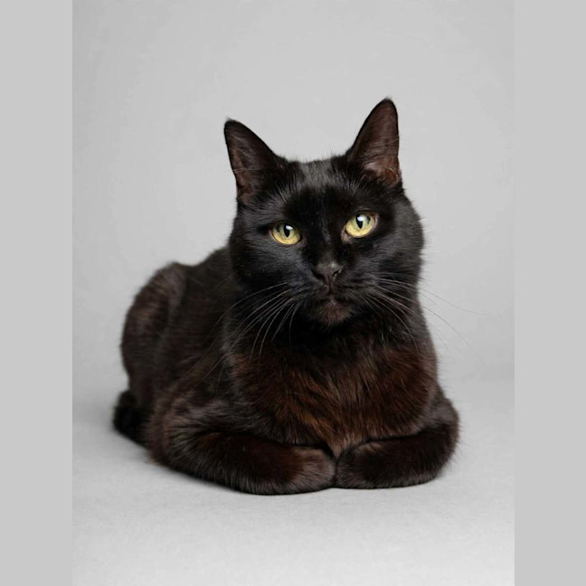 Photo of Mabel 