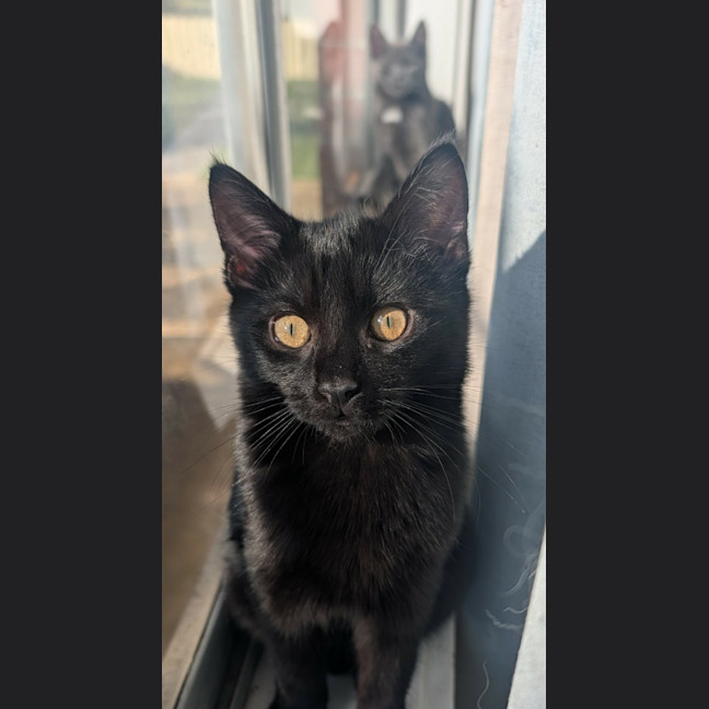 Photo of Mercury