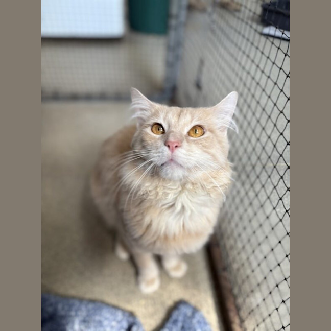 Photo of Buddy