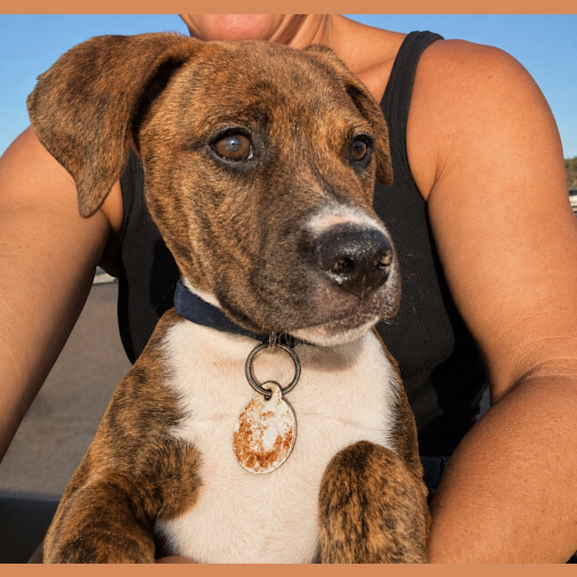 Photo of Cosmo