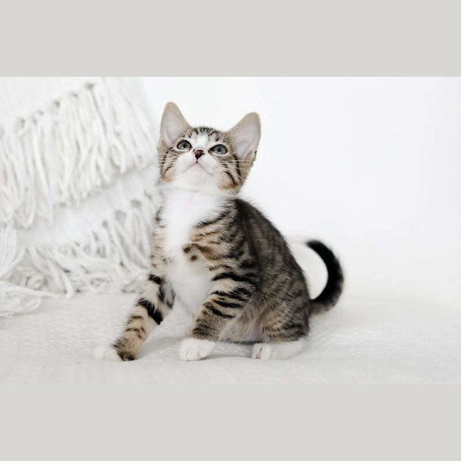 Photo of Bubbles