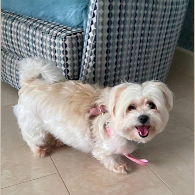 Photo of Sophie