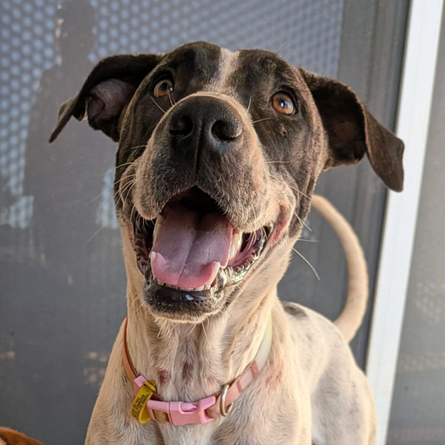 Photo of Dorothy