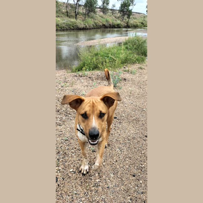 Photo of Lewis (Louie)