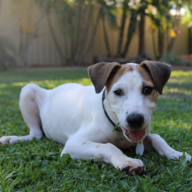 Photo of Evie