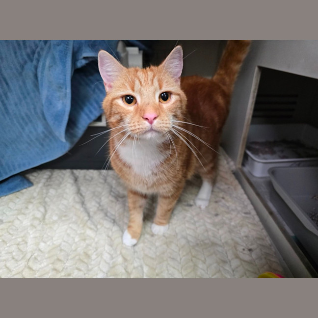 Photo of Grandpa George And Grandpa Joe