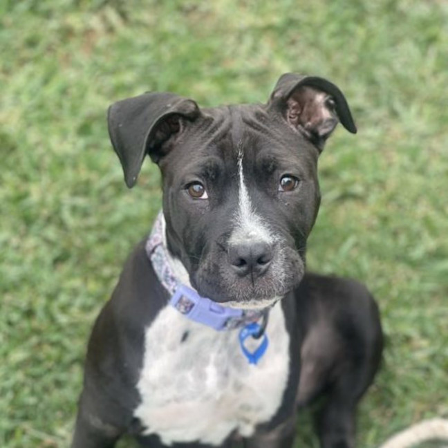 Photo of Maggie