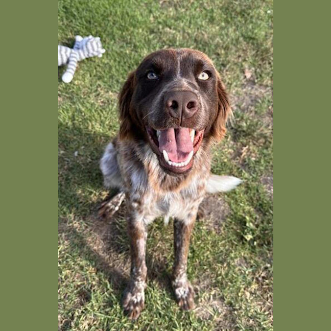 Photo of Charlie