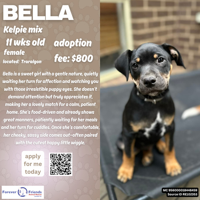 Photo of Delta's Pups