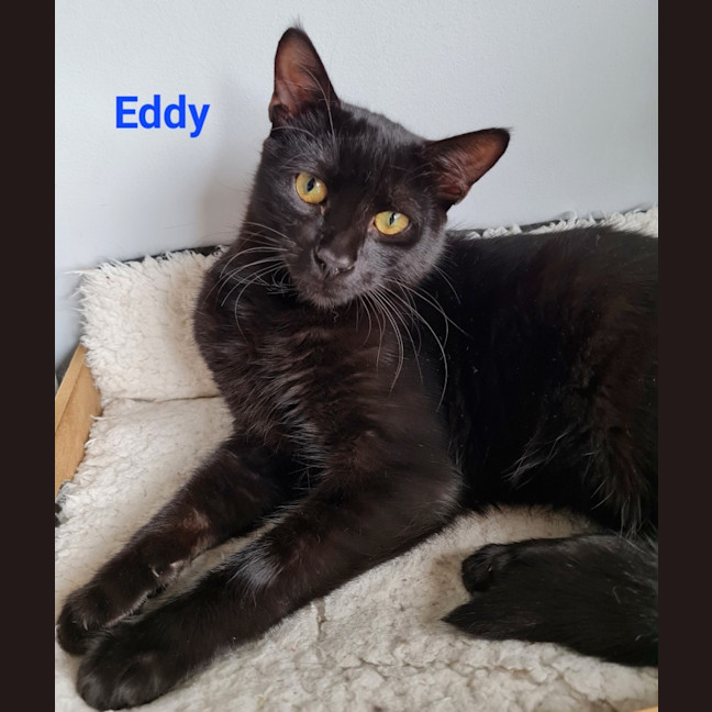 Photo of Eddy