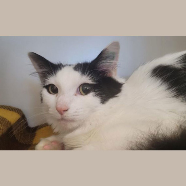 Photo of Penelope