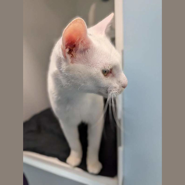 Photo of Mr Snow