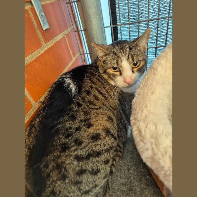 Photo of Mr Roy! 🎩