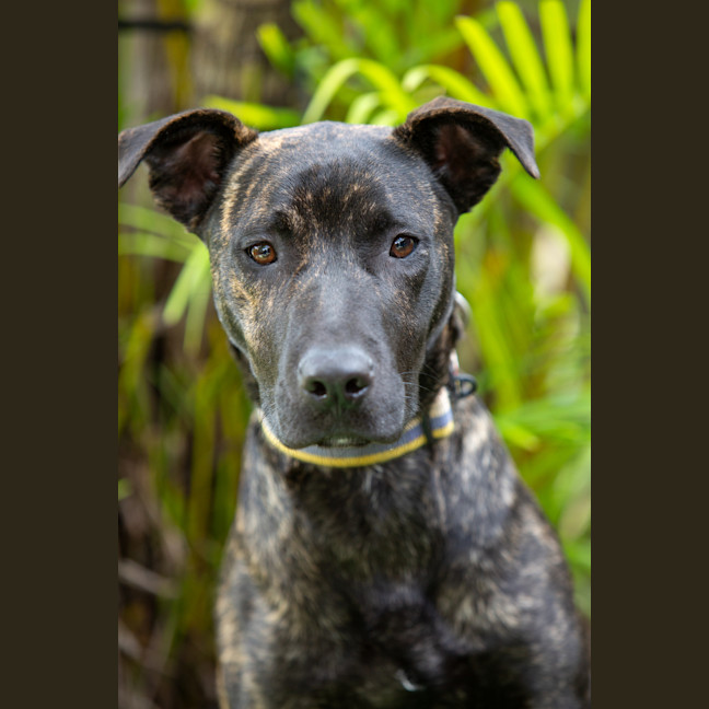 Photo of Ernie