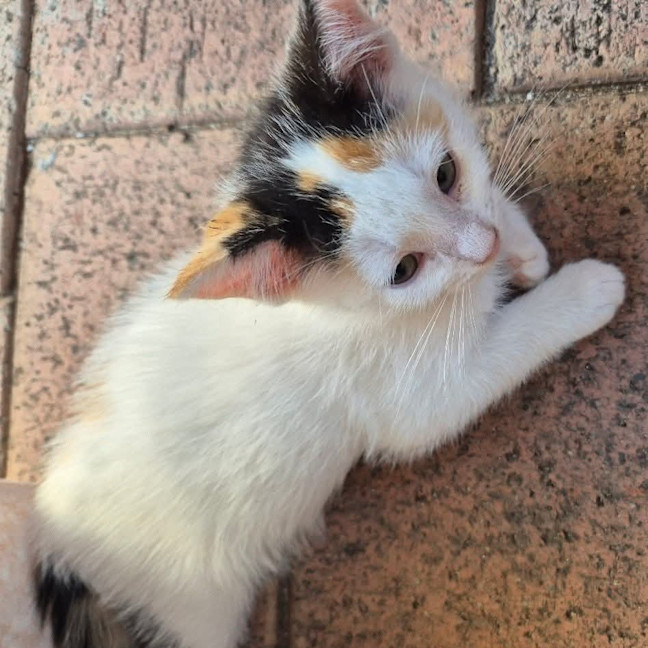 Photo of Ethel