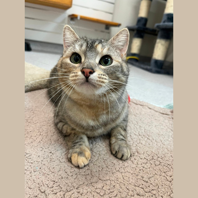 Photo of Stormi And Yeow Yeow