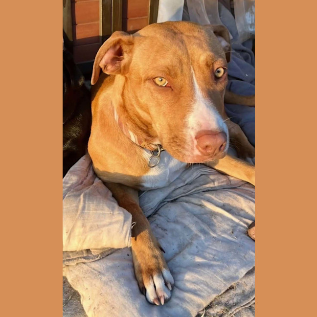 Photo of Meg