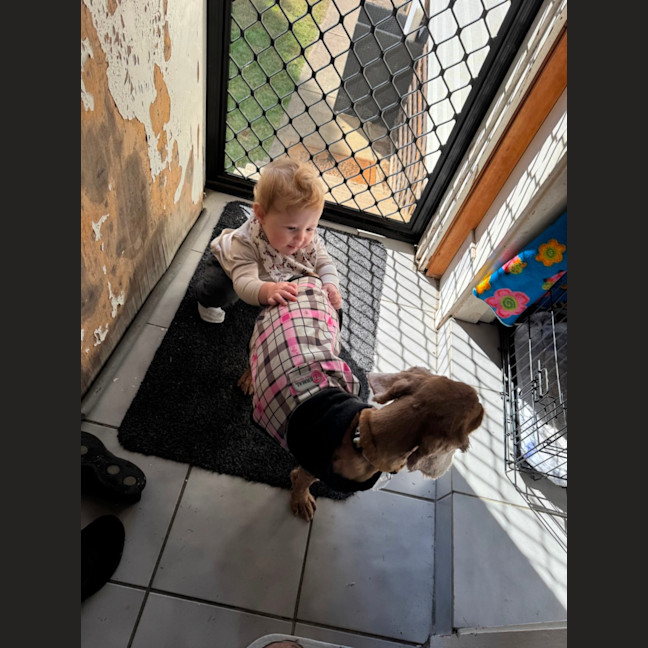 Photo of Maddie