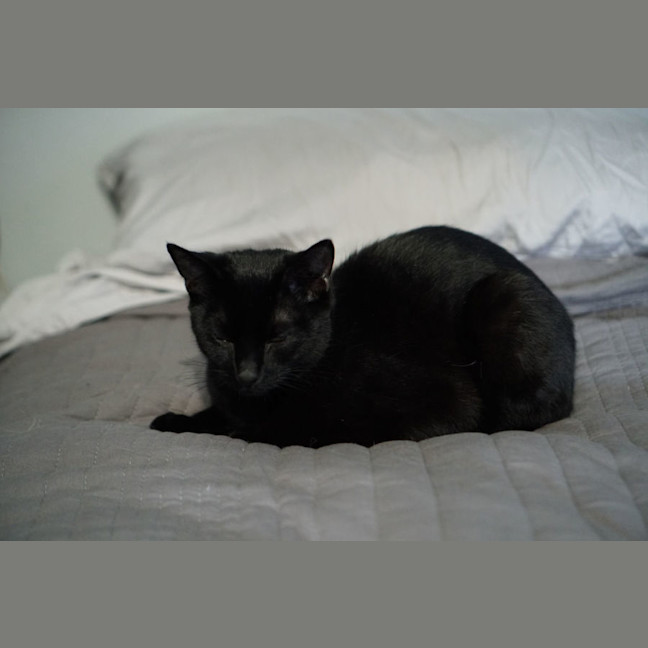 Photo of Klaus