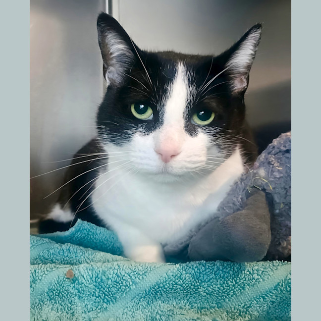 Photo of Mitzi