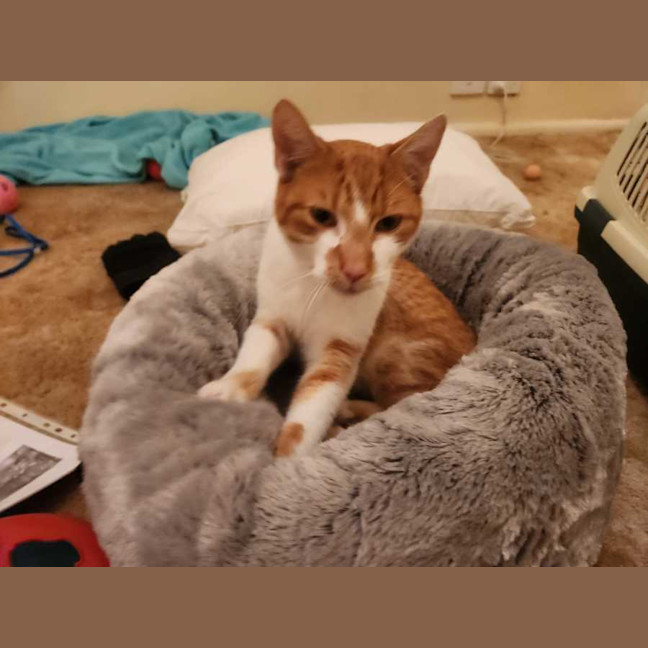 Photo of Jester 