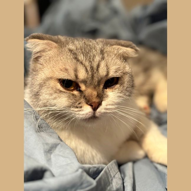 Photo of Reyne (Rain)
