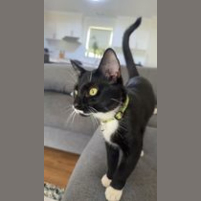 Photo of Taco