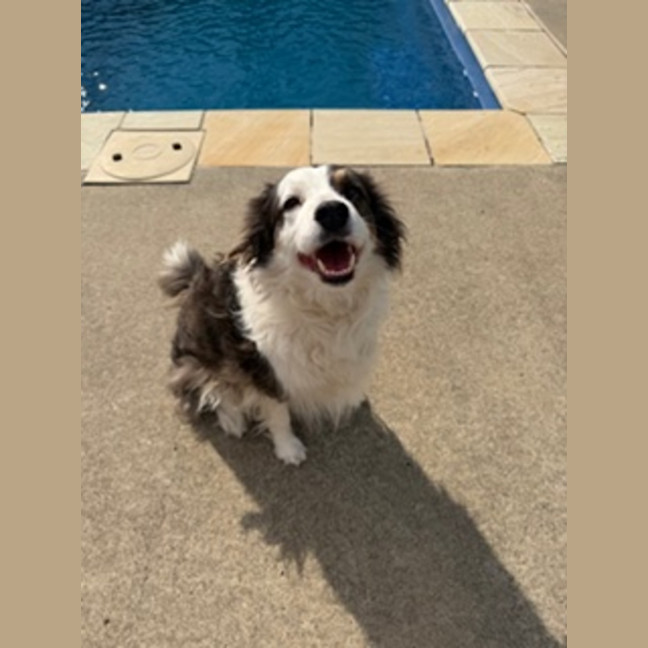 Photo of Bella 