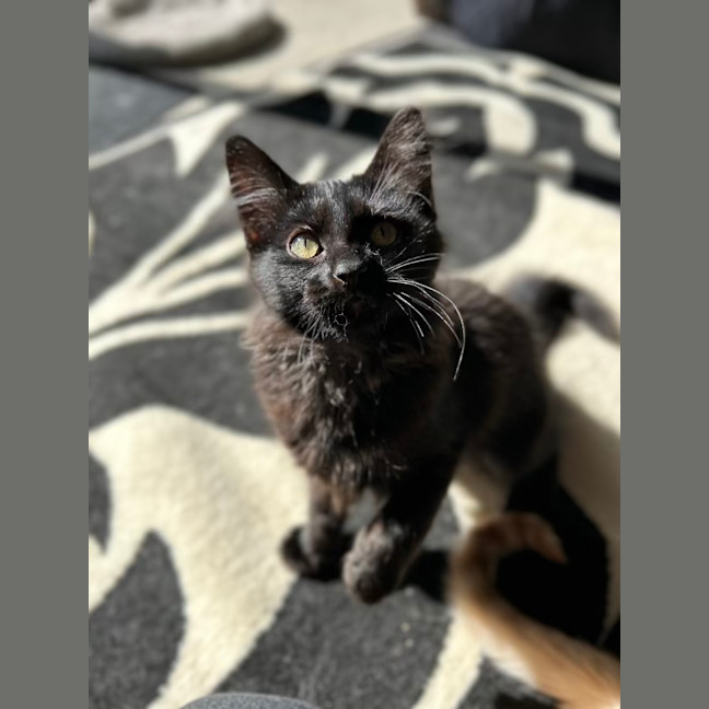 Photo of Nox   Located In Lower Plenty