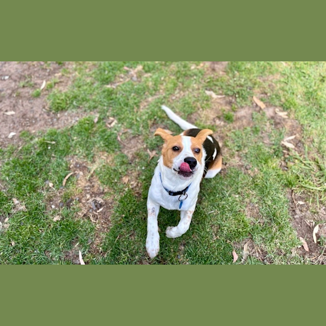 Photo of Bagel