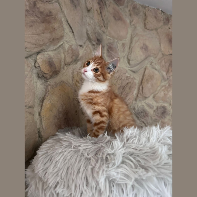 Photo of Pj