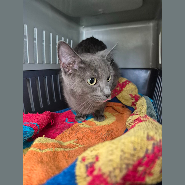Photo of Tuna!👑