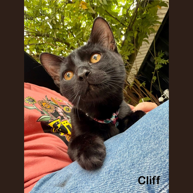 Photo of Cliff