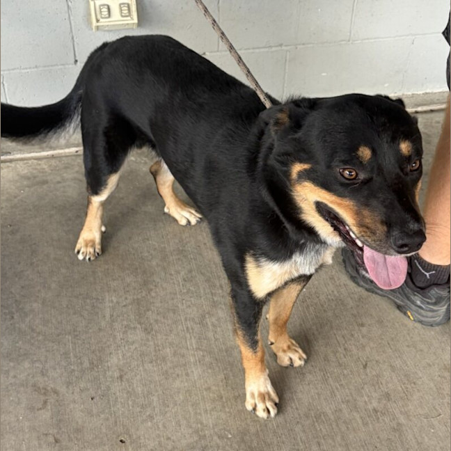 Photo of Cash