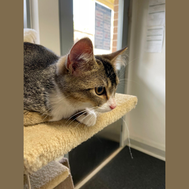 Photo of 🍤 Finkle 5898 🍤