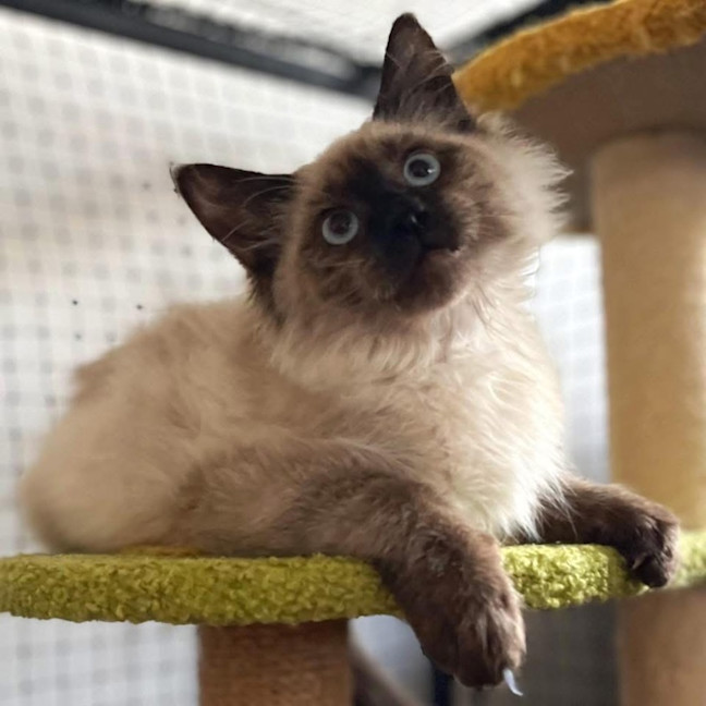 Photo of 12356   Billy Loomis