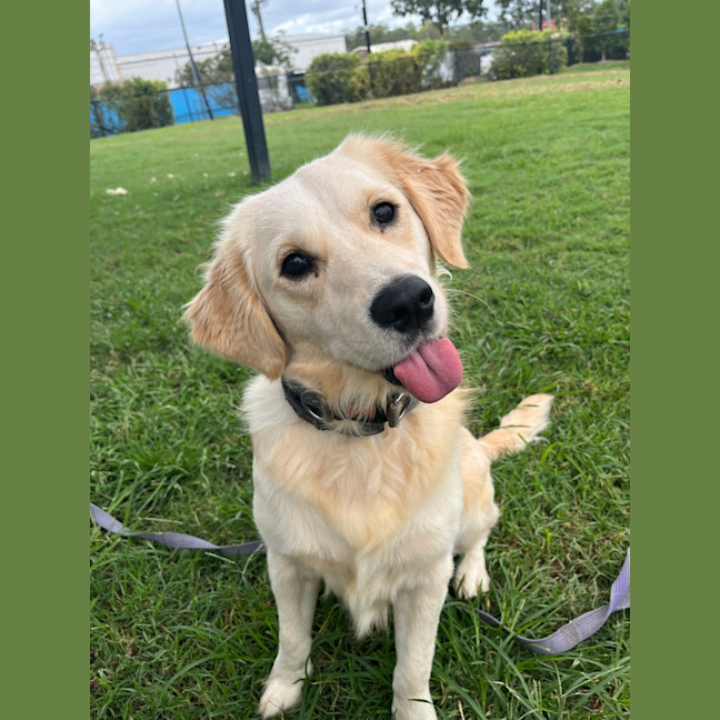 Photo of Bentley