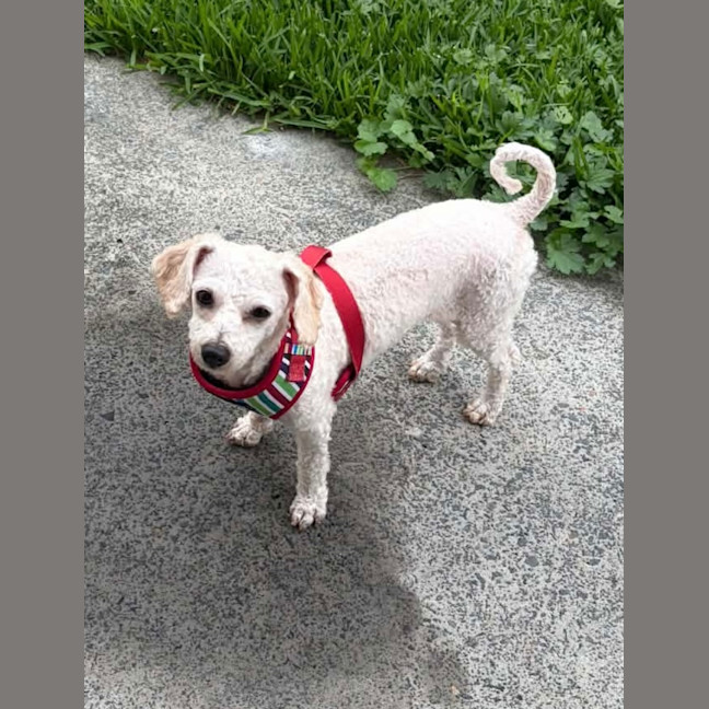 Photo of Edie