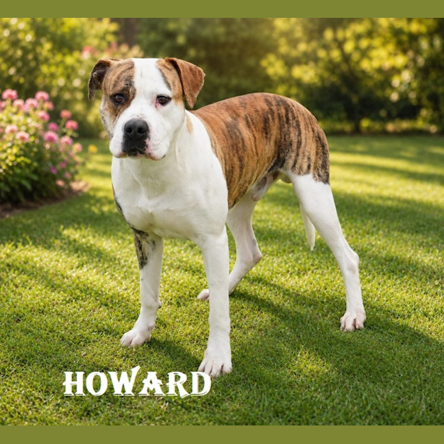 Photo of Howard