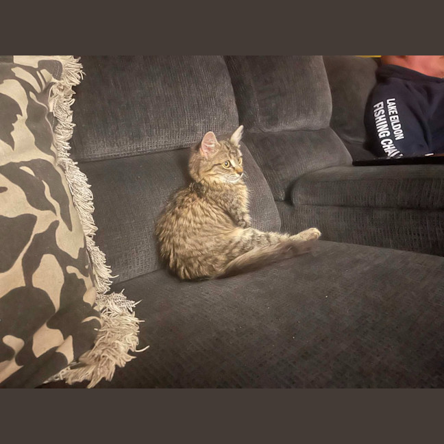 Photo of Elvie