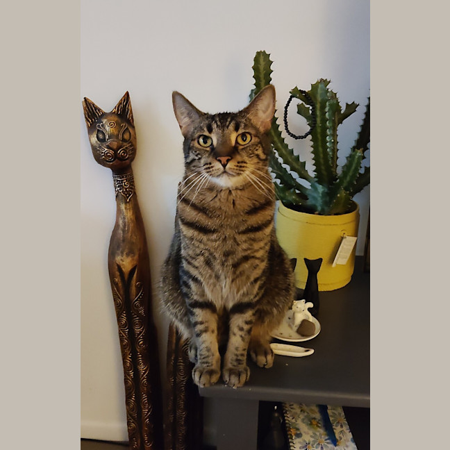 Photo of Leo