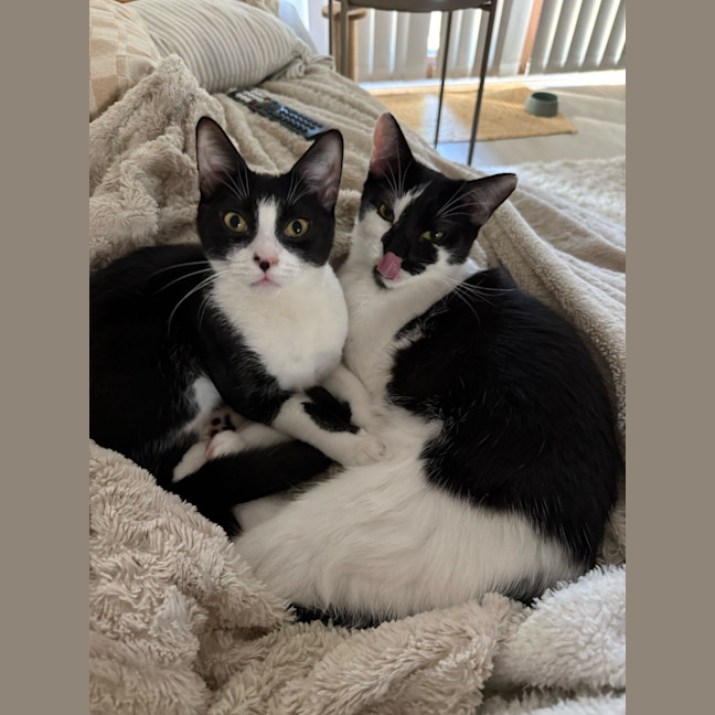 Photo of Buster & Harry