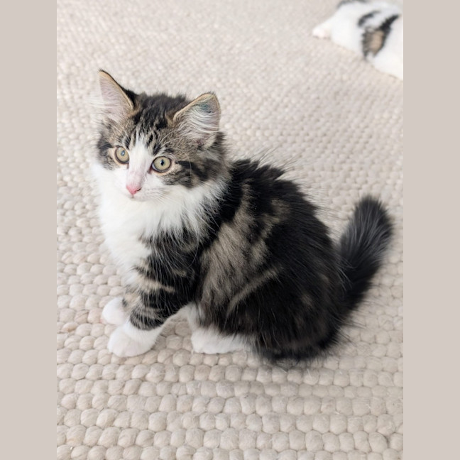Photo of Charlie 